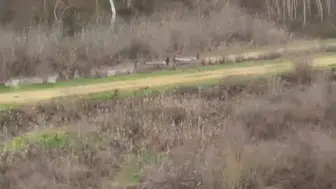 FETÖ bağlantılı göçmen kaçakçılığı şebekesinin yeni görüntüleri ortaya çıktı