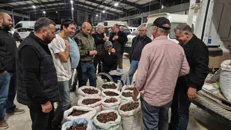 Düzce kestane pazarında kıyasıya pazarlıklar sürüyor