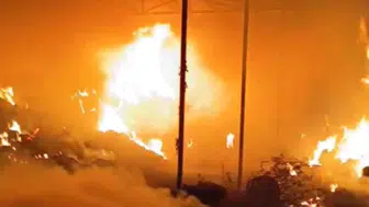 Karacabey'de çiftlikte yangın paniği: Hayvanlar kurtarıldı