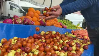 Simav hünnabı pazar tezgahlarını süslüyor