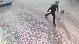 Siverek'te Kangal köpeğin çalınma anı güvenlik kamerasında görüntülendi