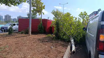 Diyarbakır'da 4 aracın karıştığı kazada sürücü itfaiye tarafından kurtarıldı