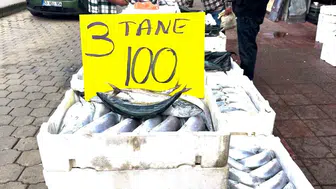 Rize'de palamutun 3 tanesi 100 TL'den satılıyor