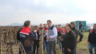 Kars'ın Selim ilçesinde 80 dönümlük tarlada ayçiçeği hasadı