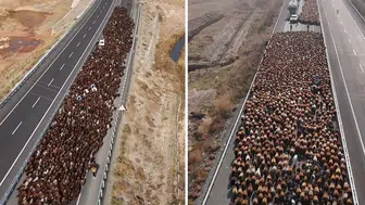 Binlercesi aynı anda yola çıktı: Doğu Anadolu’da göz alıcı yayla göçü başladı!