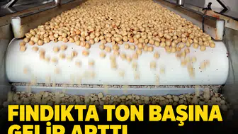 Dış satımda fındık rüzgarı: 9 aylık gelirdi 1,9 milyar dolar eşiği aşıldı