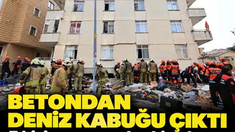 5 kişiye mezar olan binada ihmaller zinciri: Betondan deniz kabuğu çıktı