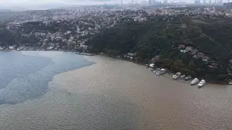 Şiddetli yağışlar kıyıları vurdu: Üç ilde deniz kahverengiye döndü