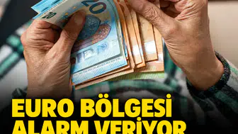Fransa'nın devasa borcu ve seçim belirsizlikleri euroyu son ayların en düşük seviyesine çekti