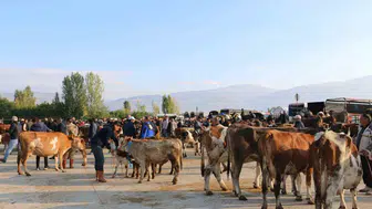 Erzincan'da hayvancılığa şap tehdidi: İl Müdürlüğü'nden pazar yerinde kritik aşılama çağrısı