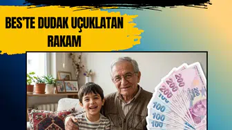 Bireysel Emeklilik Sistemi'nde fon büyüklüğü 2,7 trilyon liraya ulaştı