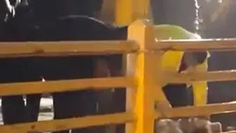 Yalova'da sağanak felaketi: Yağmurun durması için köprüde kurban kestiler