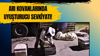 Hakkâri'de arı kovanına gizlenmiş 91,1 kilo uyuşturucu ele geçirildi
