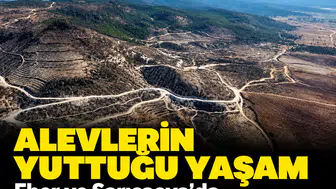 Alevlerin yuttuğu yaşam: Eber ve Sarıcaova'da yaban hayatı mercek altında