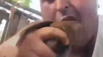Antalya'da vahşet: Kuşları katledip sosyal medyada paylaşan zanlı tutuklandı