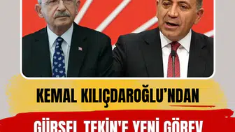 Gürsel Tekin, Genel Başkanlık Makamına Bağlı Koordinatör olarak atandı