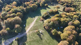 Doğanın sarı-kahve paleti: Bolu ormanlarından muazzam kareler