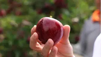Minikler dalından topladı! Üniversitede sürprizle biten unutulmaz gün