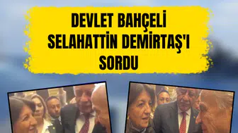 Devlet Bahçeli Meclis resepsiyonunda Selahattin Demirtaş'ı sordu