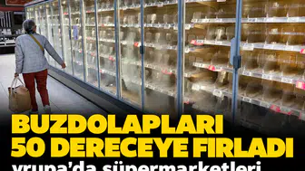 Buzdolapları 50 dereceye fırladı: Avrupa'da gıda krizini tetikleyen siber sabotaj