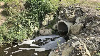 Arıtılmayan atık su denize aktı: YAKAB'a milyonluk ceza kesildi
