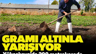 Gramı altınla yarışıyor: Yüksekova'da 200 metrekarede başladı, şimdi siparişlere yetişemiyor