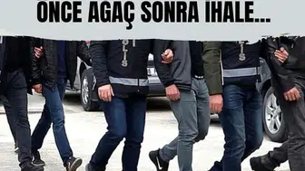 Ağaç A.Ş. davasında eski müdürden itiraf: Ağaçlar geldi, ihale sonradan açıldı