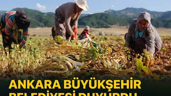 Ankara Büyükşehir Belediyesi duyurdu: 20 binden fazla çiftçiye 98 milyon liralık kaynak