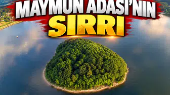 30 yıldır kimse ayak basamıyor! Gölün ortasındaki Maymun Adası’nın sırrı