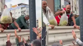 Manisa’da üzüm üreticisi çileden çıktı: 1 tır dolusu üzüm meydanda bedava dağıtıldı!
