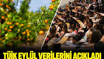 TÜİK eylül verilerini açıkladı: İşte fiyatı en çok artan ve azalan ürünler