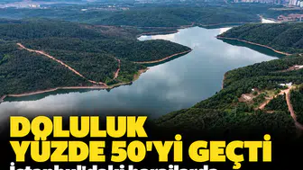 Doluluk yüzde 50'yi geçti: İstanbul'daki barajlarda dikkat çeken tablo