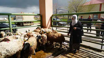 Muş'ta kırsalın kalkınma hamlesi: Kadın üreticilere 40 milyon liralık dev destek