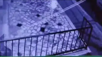 Şapkalılar suç örgütünün operasyonu: 24 şüpheli adliyeye sevk edildi