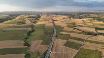 Edirne’de yağmur, ayçiçeği tarlalarını canlandırdı