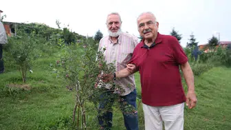 Ordu'da tarımsal potansiyel artıyor: Başkan Güler'den önemli destek açıklamaları