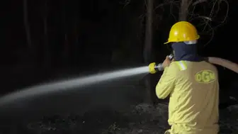 Muğla'daki orman yangını kontrol altına alındı
