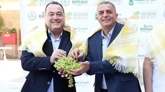 Manisa bağbozumu şenlikleri için geri sayım başladı
