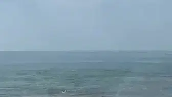 Akçakoca'da denizde boğulma tehlikesi yaşayan üç kişi kurtarıldı