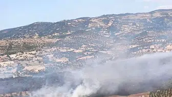 Balıkesir’deki orman yangınları ile ilgili son durum