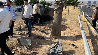 Cizre'de direğe çarpan otomobil yan yattı: Bir yaralı