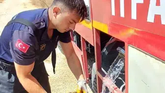 Eskişehir'deki yangında itfaiye kaplumbağayı kurtardı
