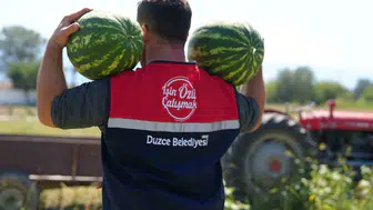 Düzce Belediyesi ata tohumlarıyla üretilen karpuzları ihtiyaç sahiplerine ulaştırdı