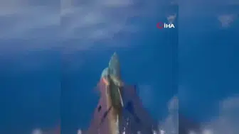 Alanya'da yunusların muhteşem gösterisi turistleri büyüledi