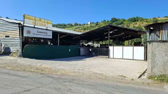 Samsun'da yangın felaketi: 53 büyükbaş hayvan telef oldu