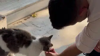 Osmangazi gençliği tarihi mirasa sahip çıkarak vefa gösterdi