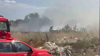 Aydın'da zeytinlik alandaki yangın paniğe yol açtı