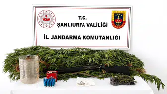 Şanlıurfa'da uyuşturucu operasyonunda gözaltı: 102 gram esrar ele geçirildi