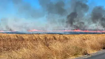 Tekirdağ'da anız yangını 25 dönüm tarım arazisini küle çevirdi