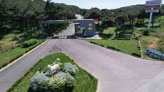 Bandırma koyunculuk enstitüsü, TÜBİTAK projesi ile bilim dünyasına katkı sağlıyor